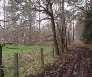 24-01-2023 - Deurne (10)