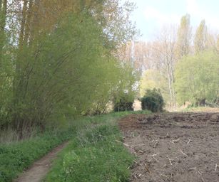 Dendermonde - 01-05-2021 (10)
