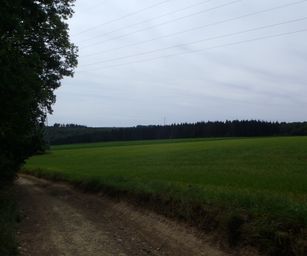 Haversin - 19-07-2020 (17)