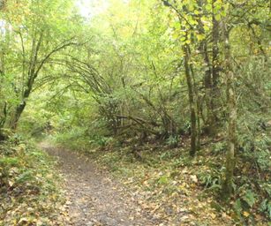 Hamoir - 11-10-2020 (15)