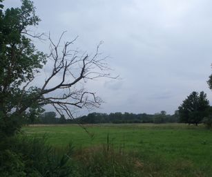 Oud Heverlee - 27-06-2021 (30)