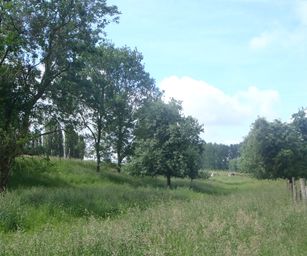 26-05-2022 Sint-truiden (1)