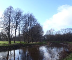 09-01-2022 - Hulsthout  (16)