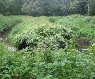 Schelle - 29-08-2021 (40)