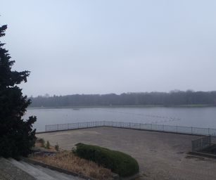 Sint-Niklaas - 27-02-2021 (8)