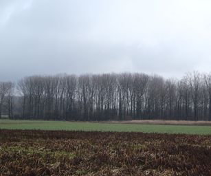 04-02-2023 - Borsbeke (4)