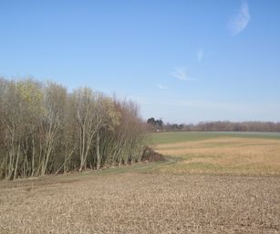 Asse - 06-03-2021 (14)