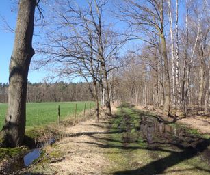 03-04-2023 - Diepenbeek (16)