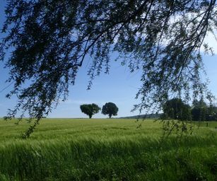 15-05-2022 Brain-le-Comte (8)