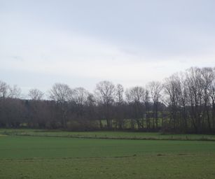 Pellenberg - 13-12-2020 (32)
