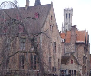Brugge - 24-01-2021 (13)