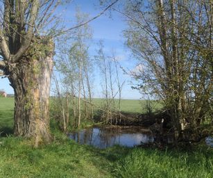 23-04-2023 - Banholt (2)