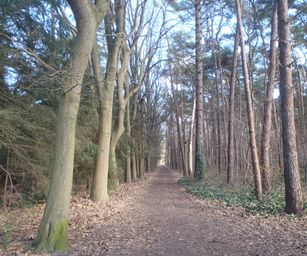 26-02-2023 - Zoersel (1)