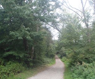 Schelle - 29-08-2021 (8)