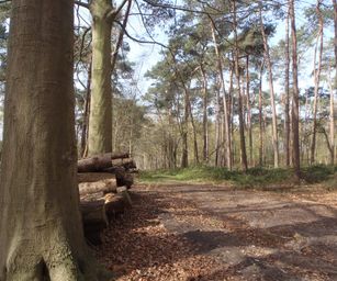 12-04-2022 - Sint-Joris (10)
