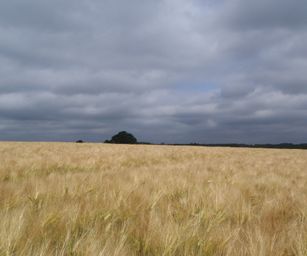 Sint-Pieters-Rode - 19-06-2021 (19)