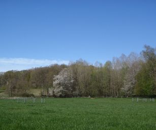 18-04-2022 - La Hulpe  (5)