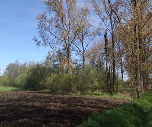 30-04-2023 - Herzele (2)