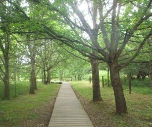 Oud Heverlee - 27-06-2021 (40)