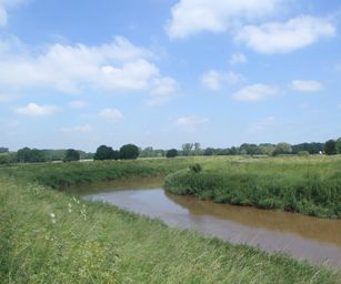 Haacht - 06-06-2021 (22)
