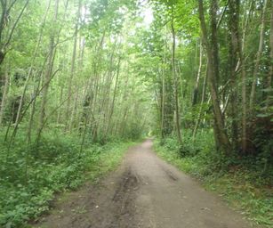 Oud Heverlee - 27-06-2021 (35)