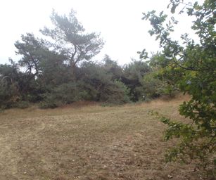 13-10-2022 Lommel (2)