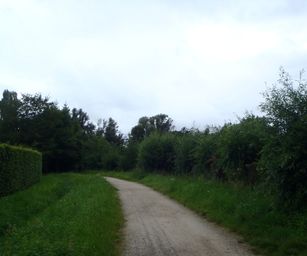 Schelle - 29-08-2021 (37)
