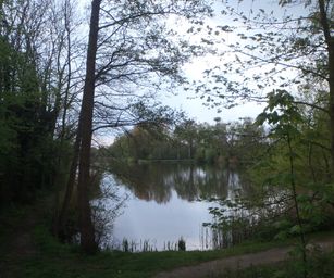 Dendermonde - 01-05-2021 (46)