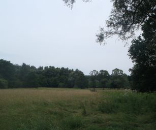 Oud Heverlee - 27-06-2021 (41)