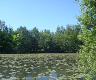 Heindonk - 13-06-2021 (12)