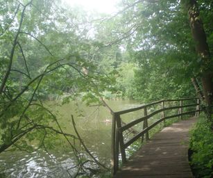 Oud Heverlee - 27-06-2021 (44)