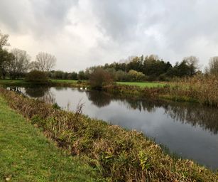 gezinswandeling 11-11-2019 (22)