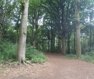 Holsbeek - 02-08-2020 (25)