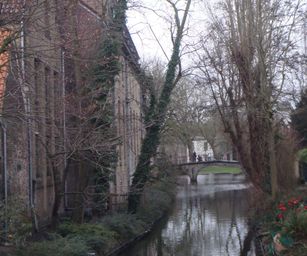 Brugge - 24-01-2021 (7)