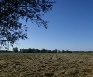07-09-2023 - Overmere (3)