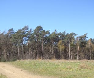 Kasterlee - 17-04-2021 (4)