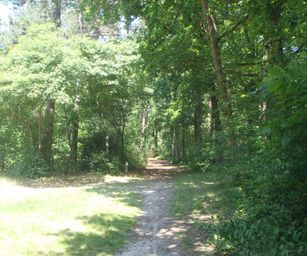 04-06-2022 Bergen-op-zoom (23)