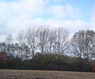 Wetteren - 31-10-2020 (16)