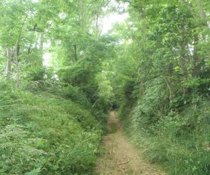 Sint-Pieters-Rode - 19-06-2021 (26)
