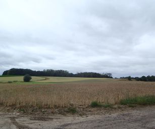 Taviers - 05-07-2020 (16)