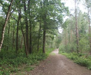 04-06-2022 Bergen-op-zoom (1)