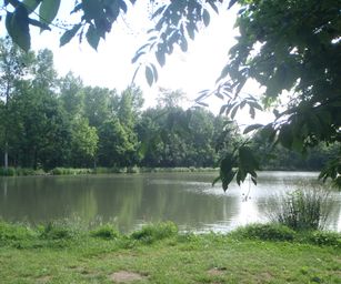 Sint-Pieters-Rode - 19-06-2021 (12)
