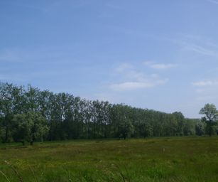 30-05-2023 - Assebroek (3)