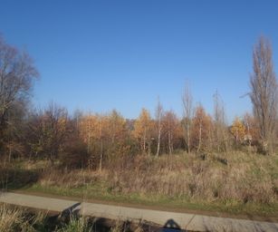 Gentbrugge - 28-11-2020 (24)