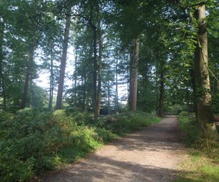 Sint-Pieters-Woluwe  - 19-09-2021 (6)