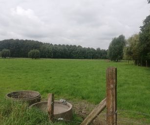 Humbeek - 12-09-2021 (18)