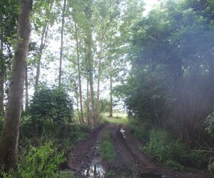 06-06-2022 Binche (2)