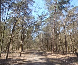 Kasterlee - 17-04-2021 (2)