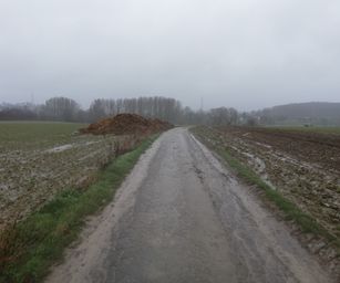 tubize - 08-03-2020 (12)