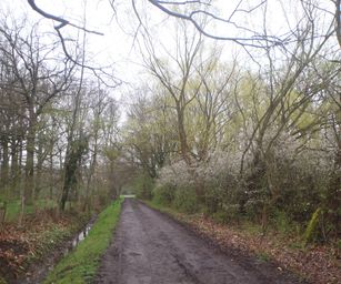 16-04-2023 - Winksele (3)